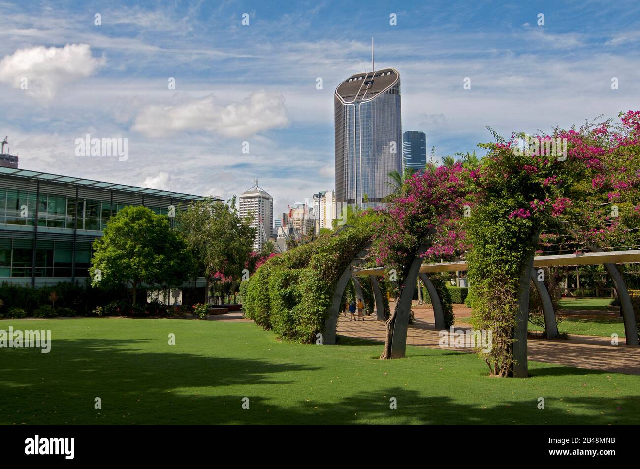 Vista su 1 torre di Williams Street e la struttura Grand Arbour coperta da fiori Bouganvillea in fiore nella zona di South Bank a Brisbane. La struttura Foto Stock