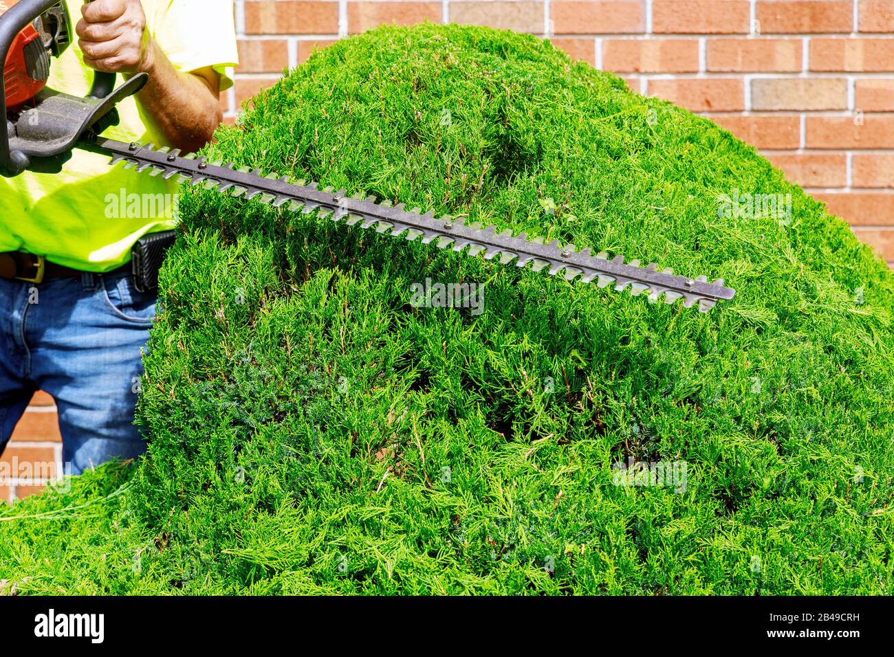 Giardiniere in alberi a fresare con cannone telescopico con potatrice in parco Foto Stock