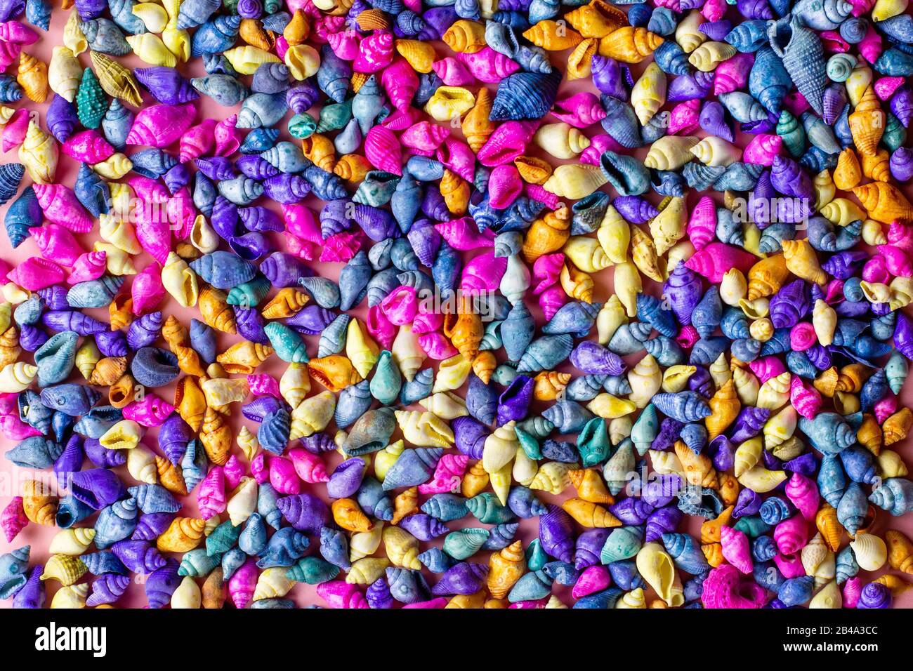 Sfondo multicolore con conchiglie su rosa, vista dall'alto Foto Stock