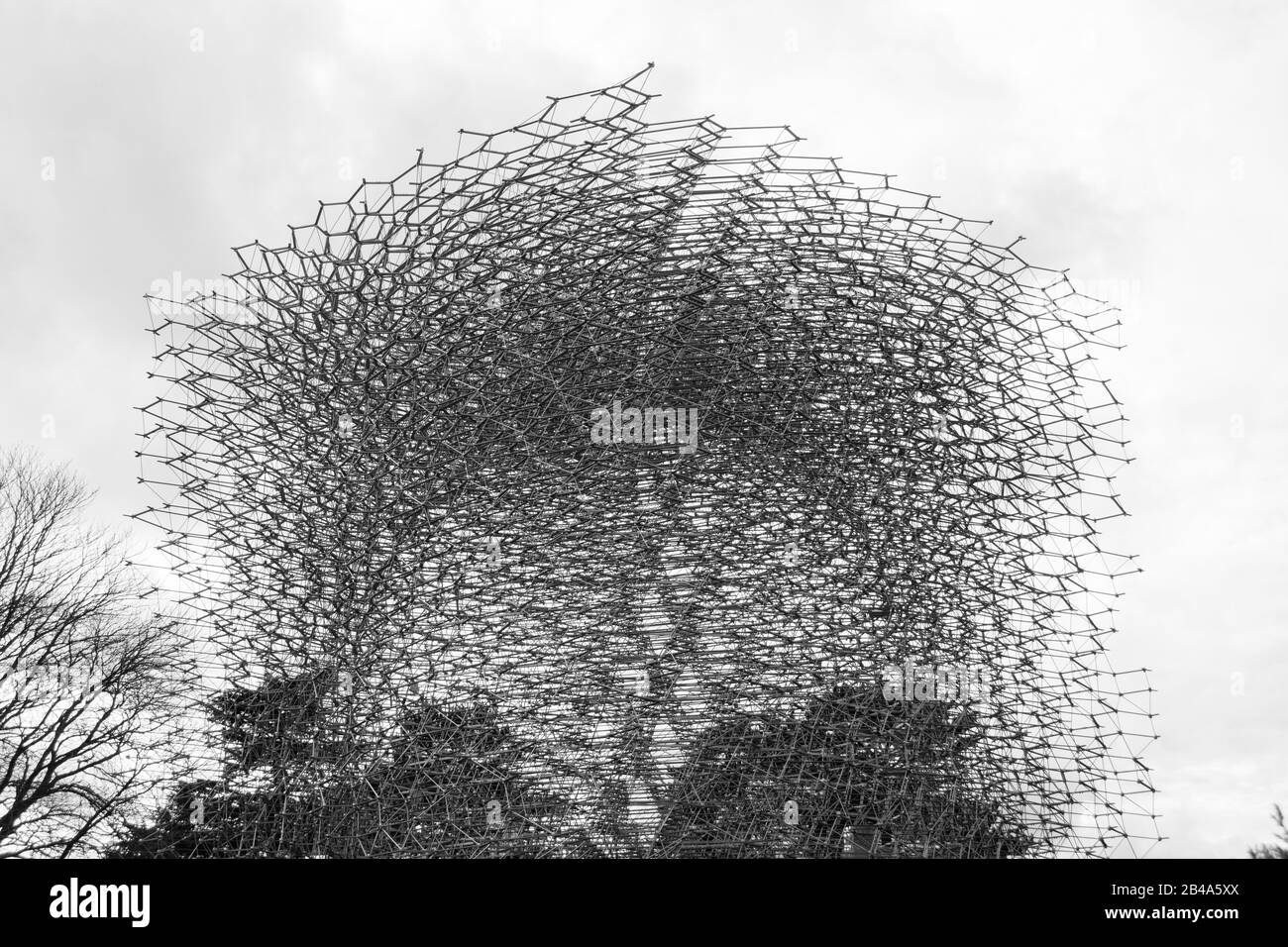 L'installazione Hive di Wolfgang Buttress a Kew Gardens, Royal Botanic Gardens, Kew, Londra, Regno Unito Foto Stock