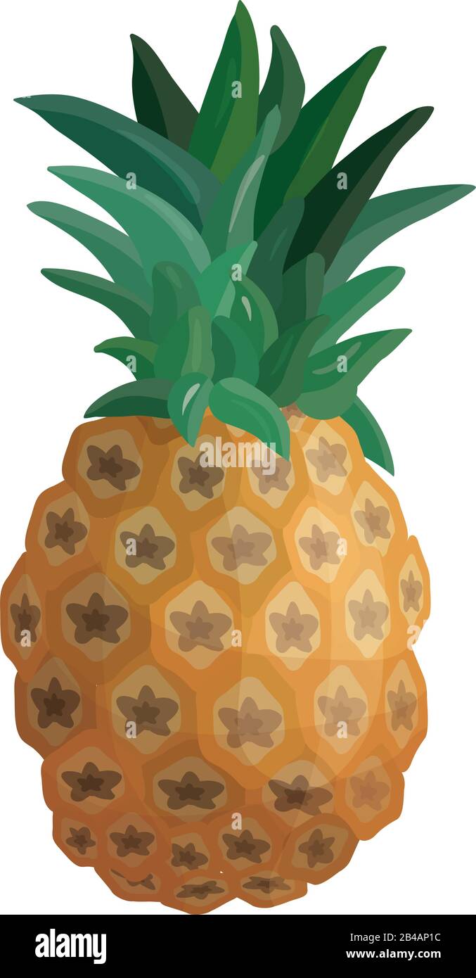 ananas fresco su sfondo bianco - vettore Illustrazione Vettoriale