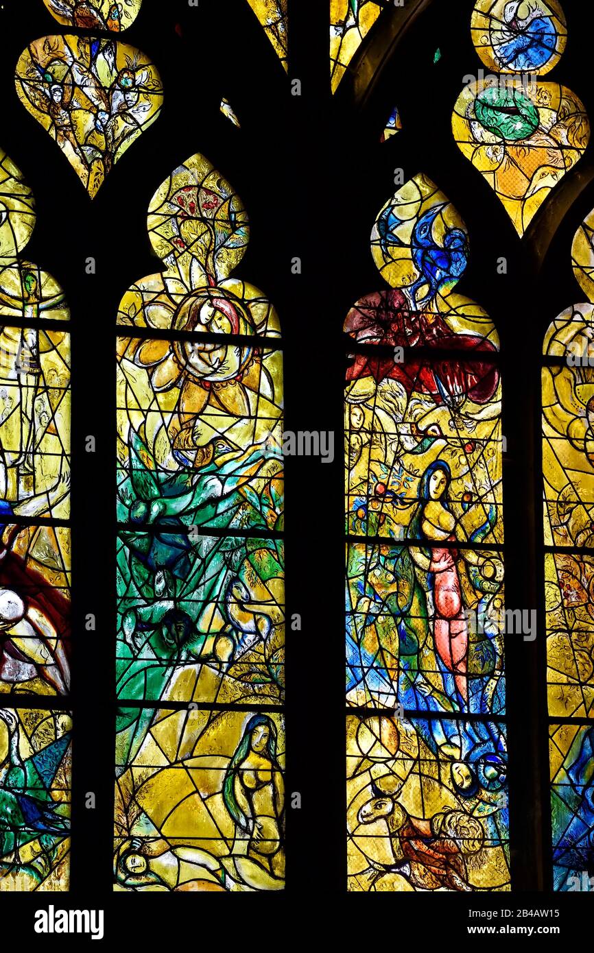 Francia, Mosella, Metz, cattedrale di Saint Etienne, vetrate del transetto settentrionale aventi per soggetti episodi dell'Antico Testamento di Marc Chagall (20th secolo) fatto da Simon Marq workshop a Reims (tutti i diritti riservati) Foto Stock