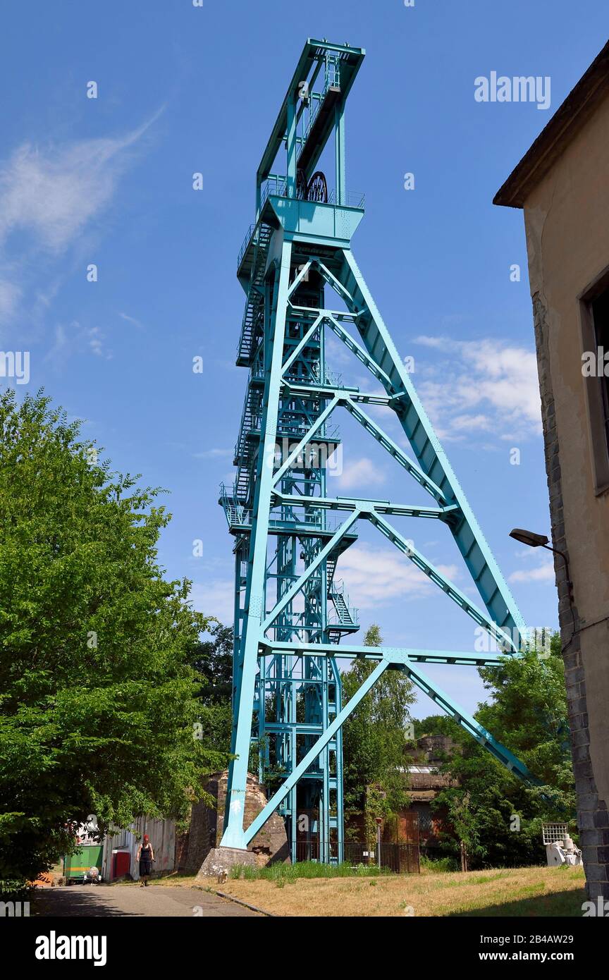 Francia, Mosella, Petite Rosselle, Il Mio Albero Saint Charles Foto Stock