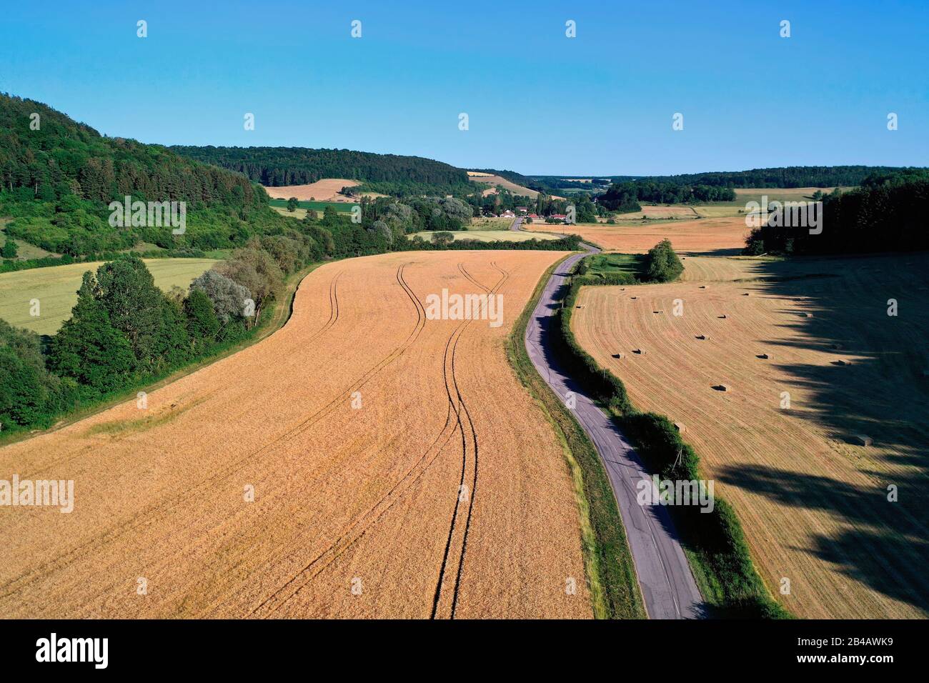 Francia, Mosa, Parco Regionale della Lorena, Cotes de Meuse, Saint Remy la Calonne, campo d'orzo (vista aerea) Foto Stock