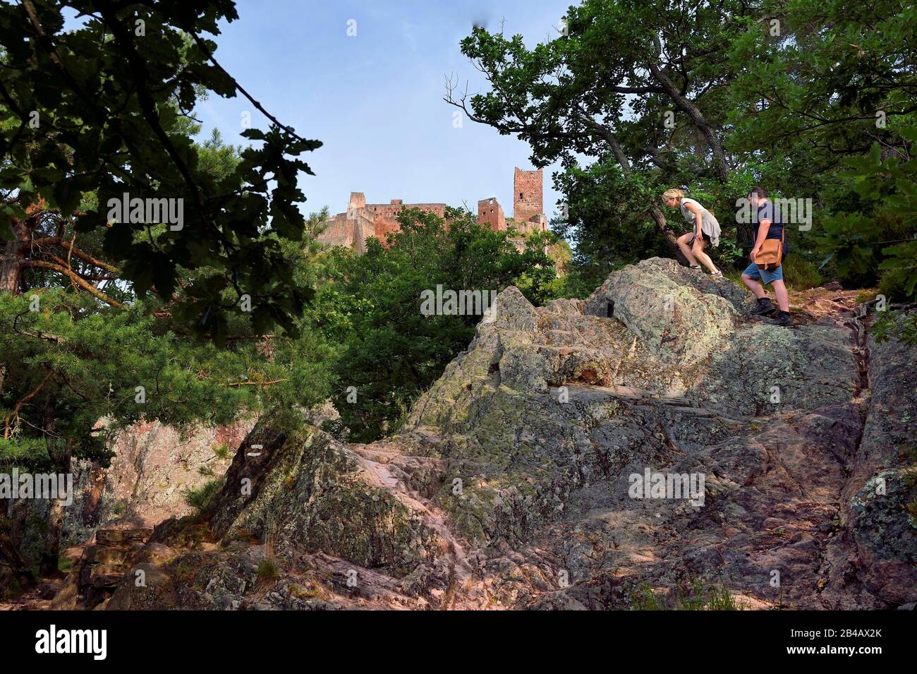 Francia, Alto Reno, la strada del vino Alsazia, Ribeauville, escursionisti sulla strada per il Castello di San Ulrich, gneiss rocce Foto Stock