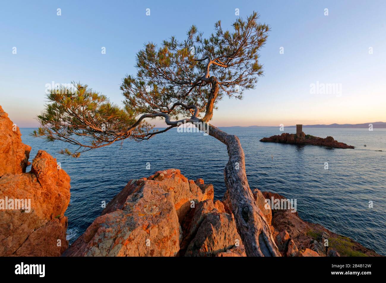 Francia, Var, Esterel Corniche, St Raphael, Dramont Cap E O (Gold) Isola Foto Stock