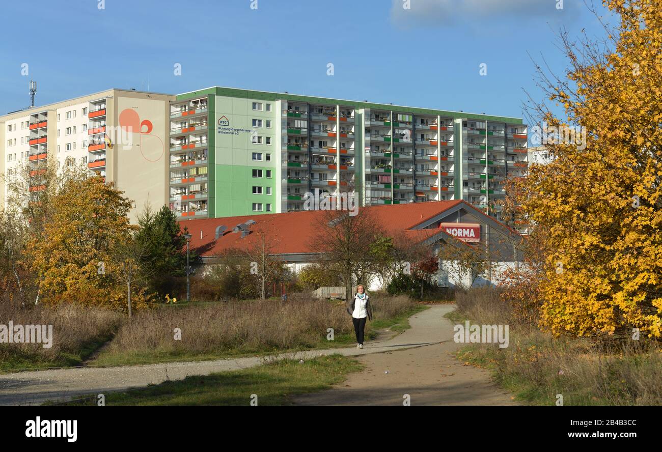 Plattenbauten, Bruno-Apitz-Strasse, Buch, Berlino, Deutschland Foto Stock