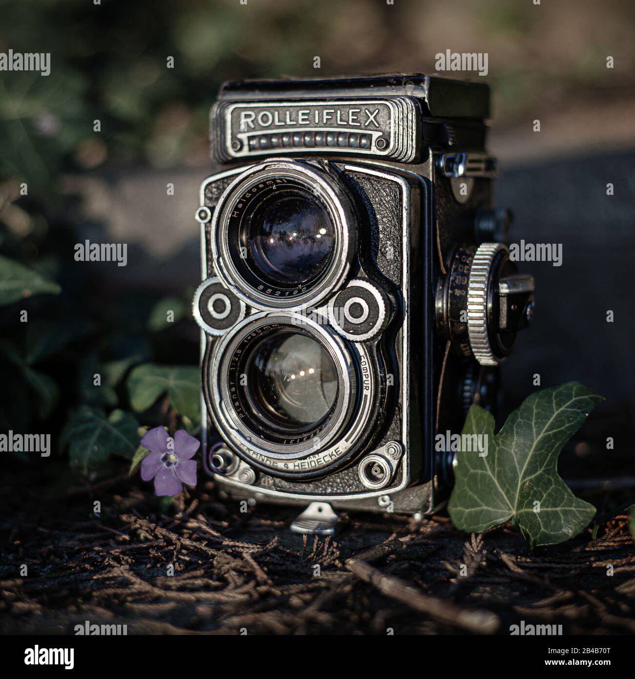 Rolleiflex Still Life Foto Stock