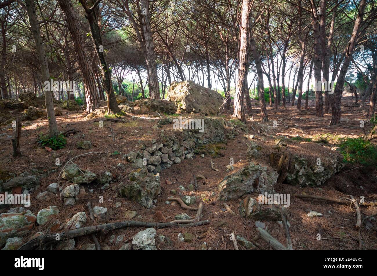 Italia, Toscana, Provincia Di Grosseto, Maremma, Orbetello, Riserva Naturale Di Duna Feniglia, Rovine Di Villa Romana Foto Stock