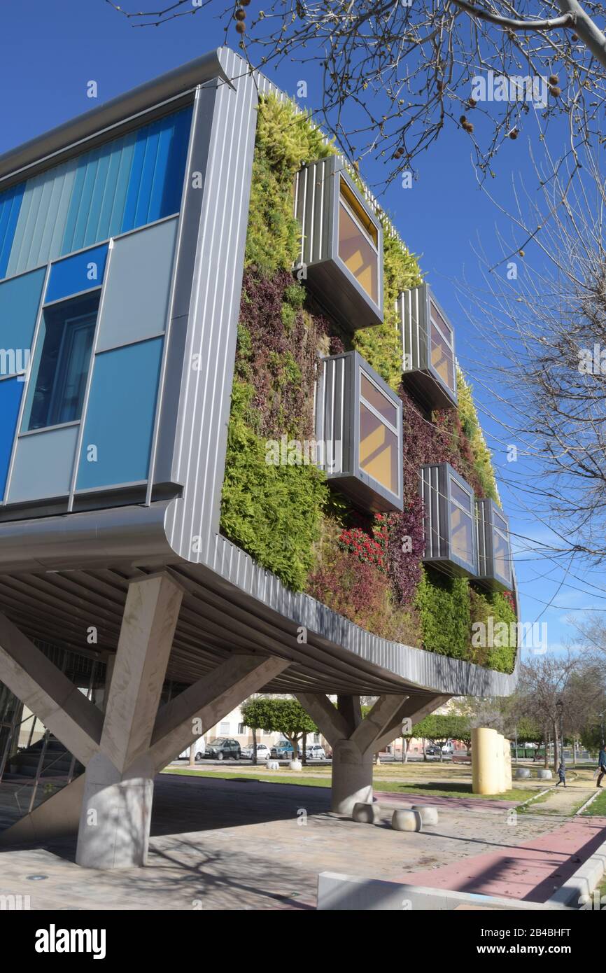 Edificio verde con finestre e pareti di vegetazione. Ambiente verde Foto Stock