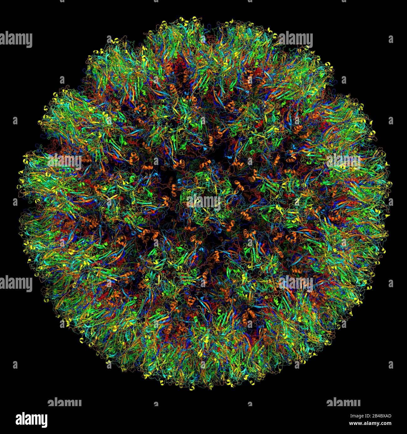 3D struttura del papillomavirus umano di tipo 16, associata a cancri. PDB 3J6R Foto Stock