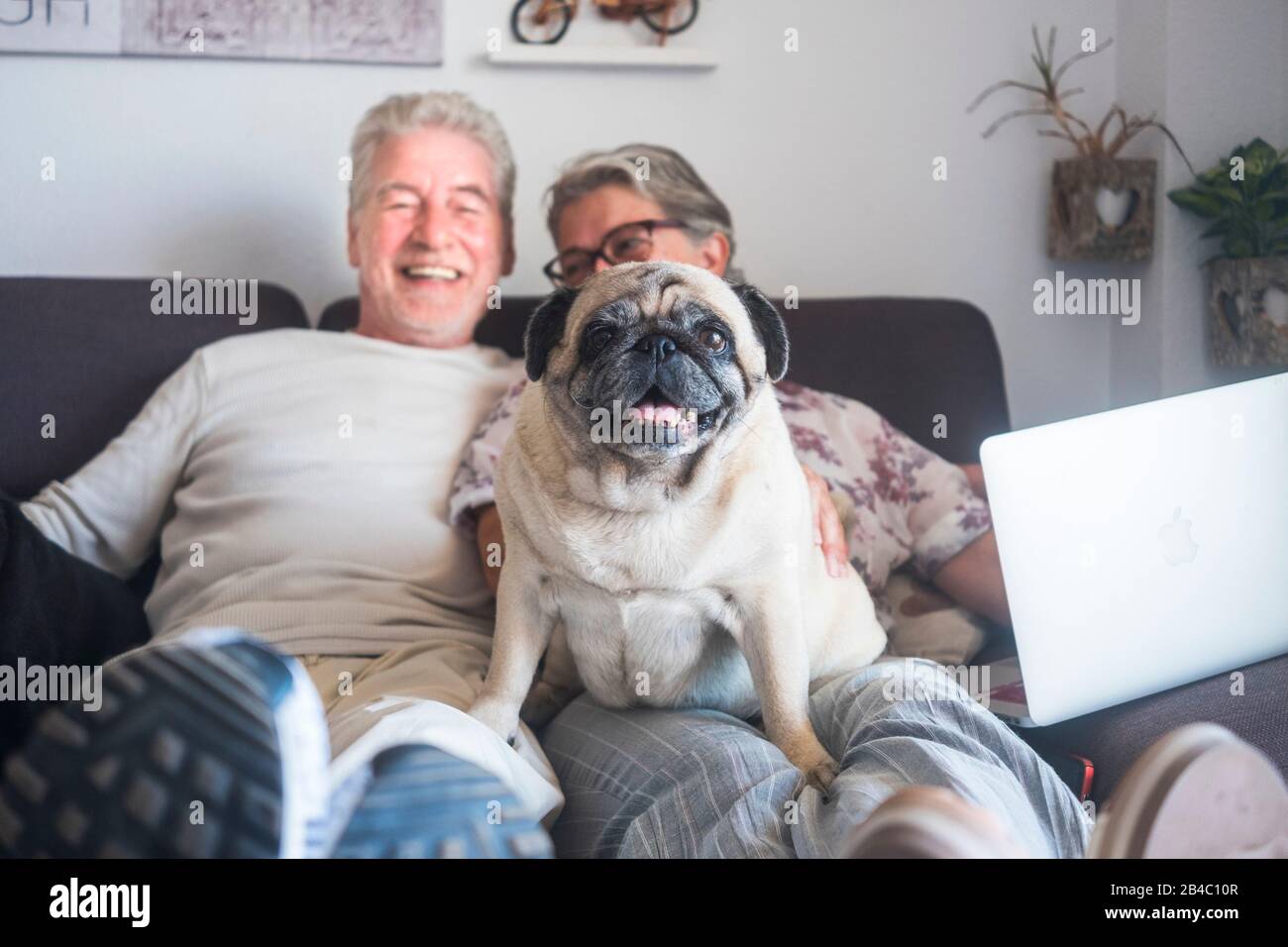 Divertente concetto di famiglia con coppia di persone caucasiche allegro uomo e donna anziani sedersi sul divano con computer portatile e vecchio cane pug carino sedersi su di loro guardando la fotocamera Foto Stock