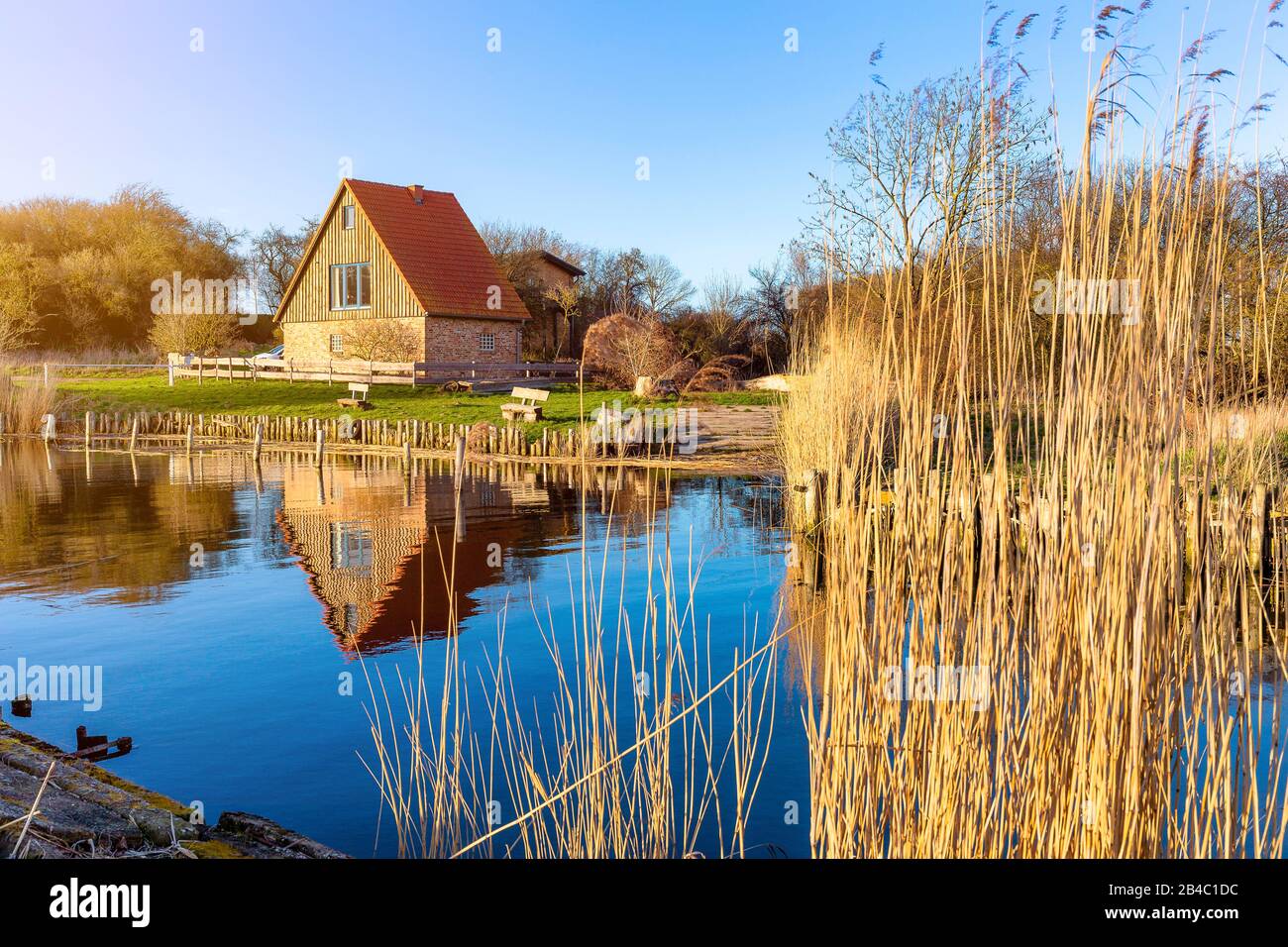 Il porto naturale di Stolpe sull'isola di Usedom nel Mar baltico. Foto Stock