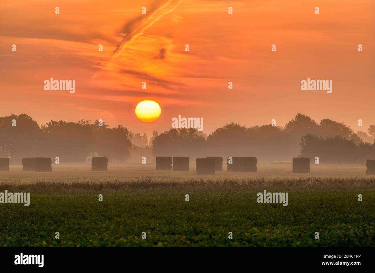 Sunrise su un campo sulla penisola Hyllekrog sull'isola danese di Lolland Foto Stock