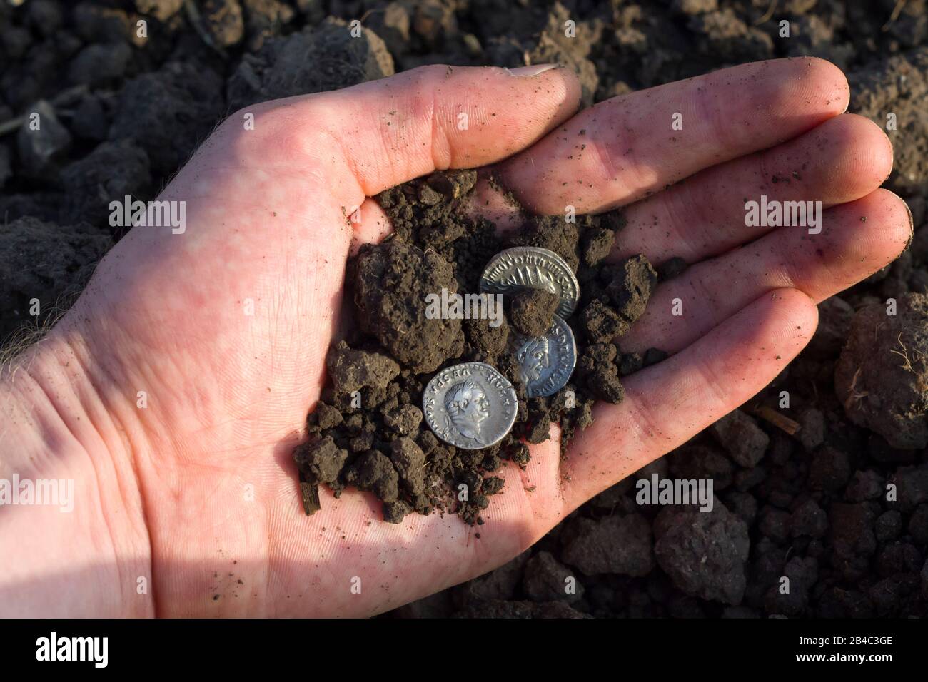 Roman moneta d'argento con il ritratto di Cesare Foto Stock