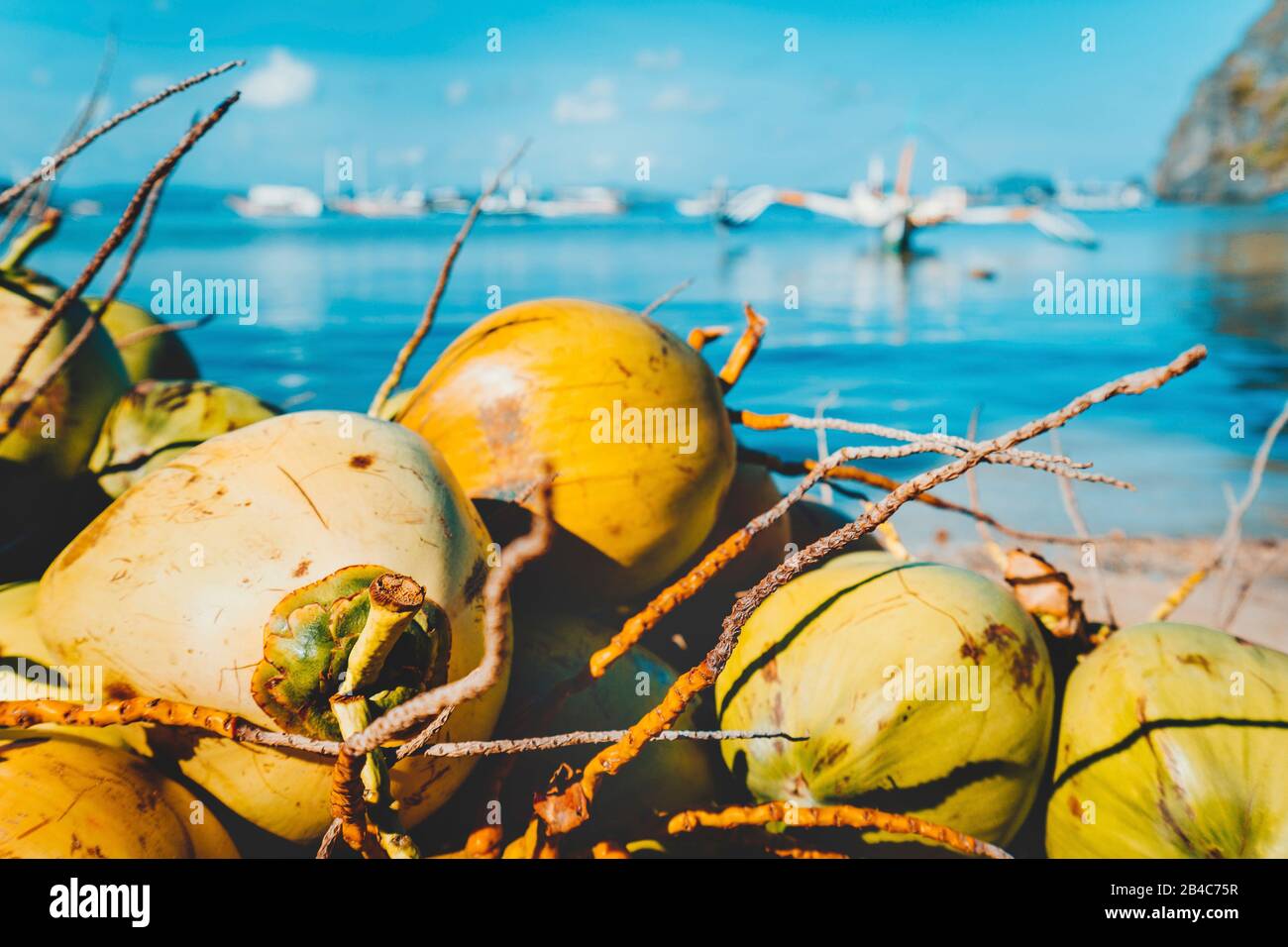 Close up di frutti di noce di cocco sul corong corong spiaggia di El Nido, PALAWAN FILIPPINE. Foto Stock