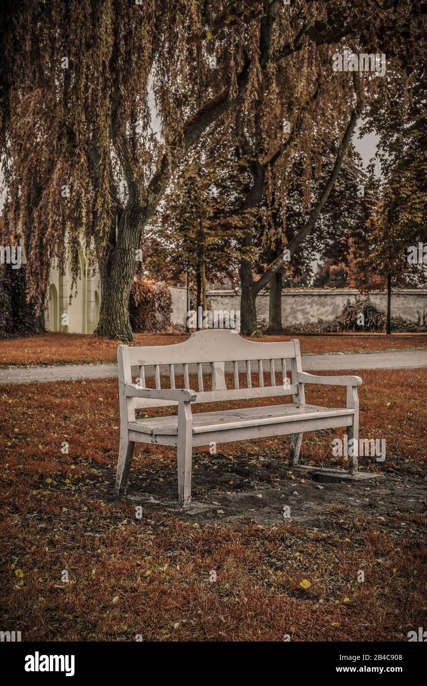 Panca vuota in un parco tedesco in malinconico autunno umore Foto Stock