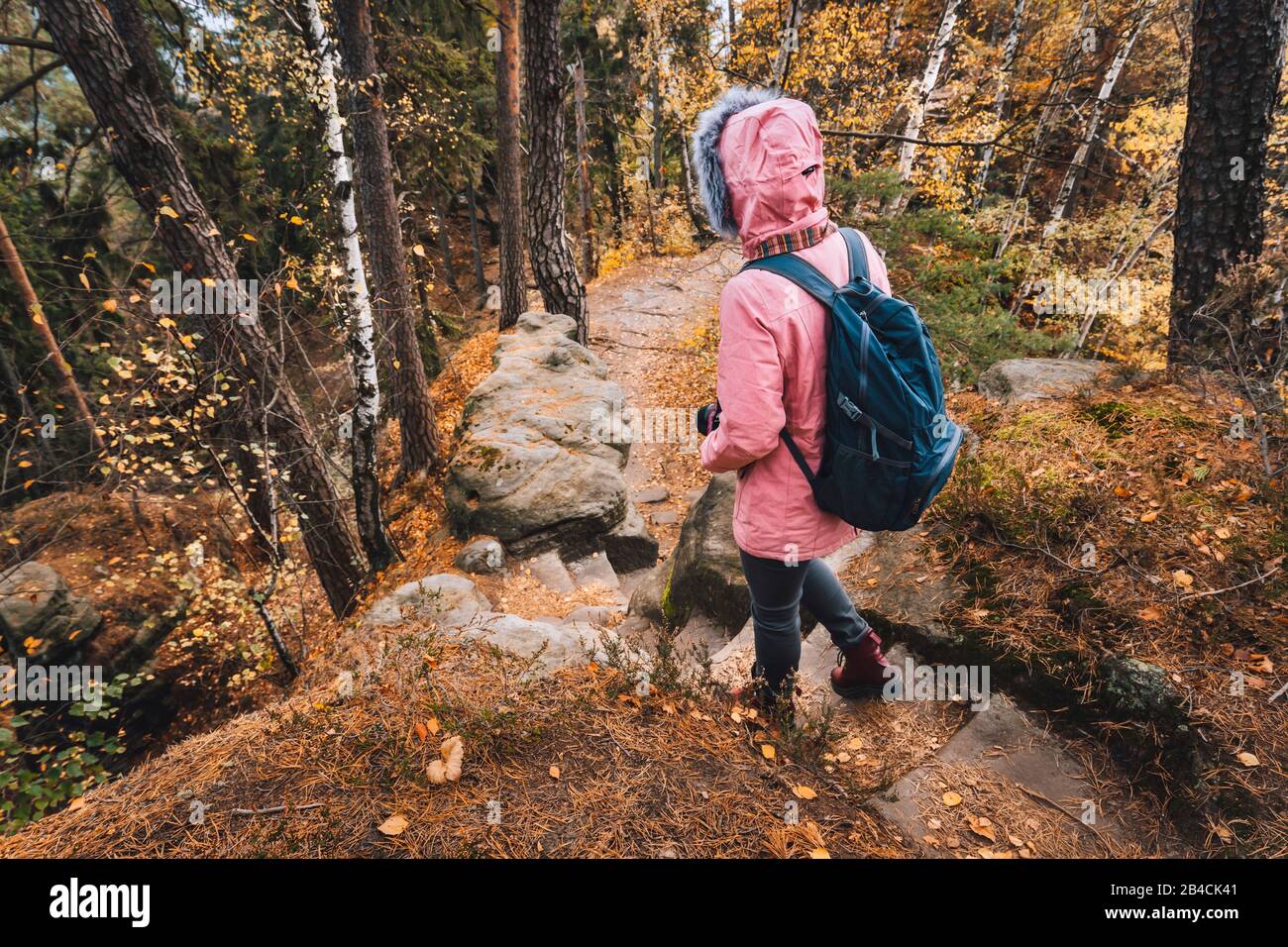 Donna adulta con zaino sul sentiero escursionistico in foresta. Concetto di avventura stile di vita di viaggio. Foto Stock