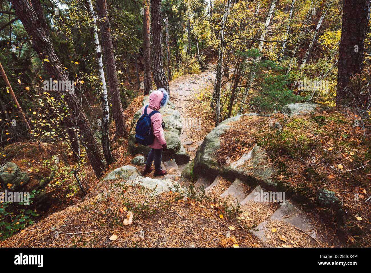 Donna adulta con zaino sul sentiero escursionistico in foresta. Concetto di avventura stile di vita di viaggio. Germania. Foto Stock
