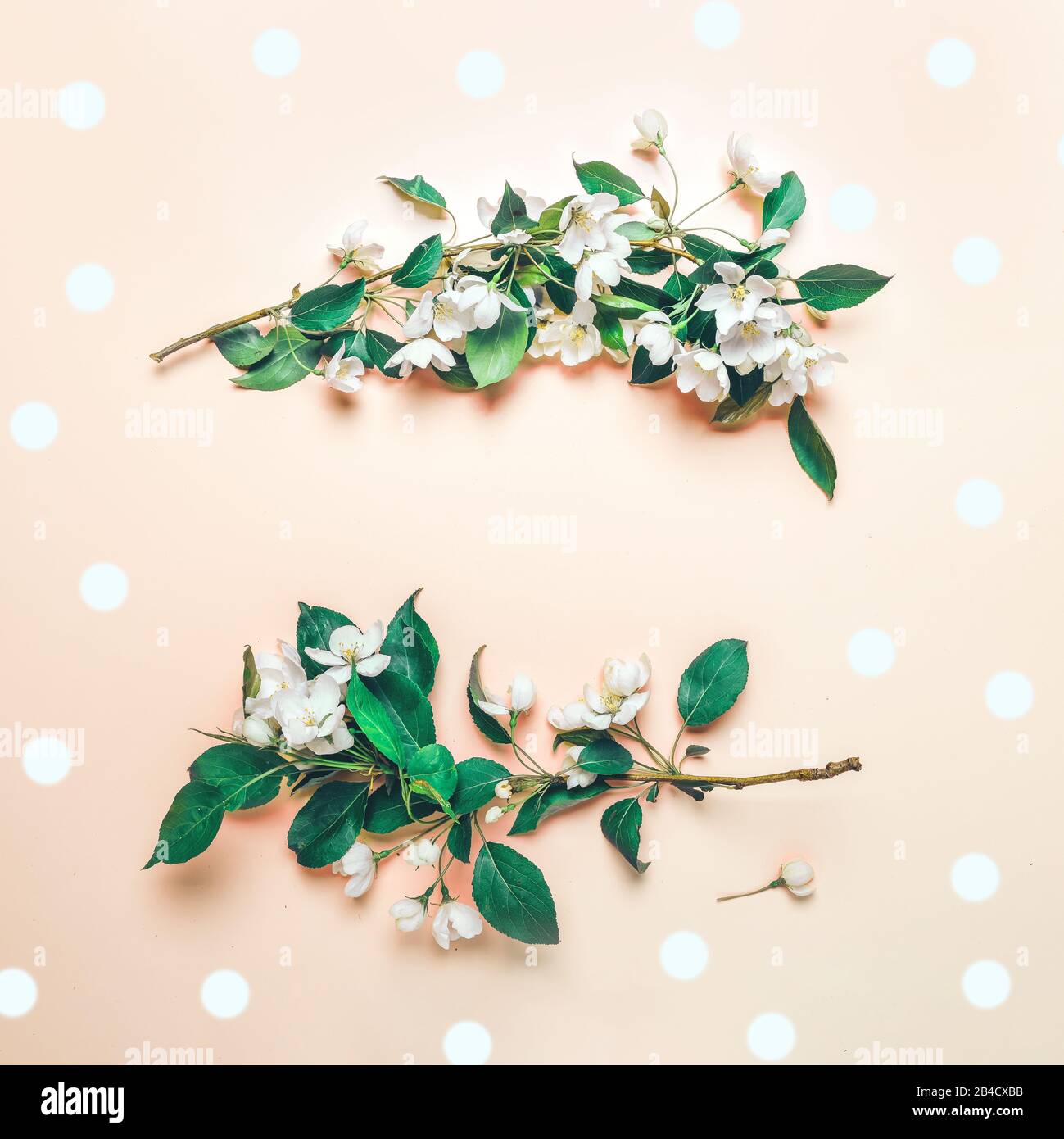 Layout creativo con albero di mele in fiore su sfondo rosa. Minimalismo a posa piatta Foto Stock