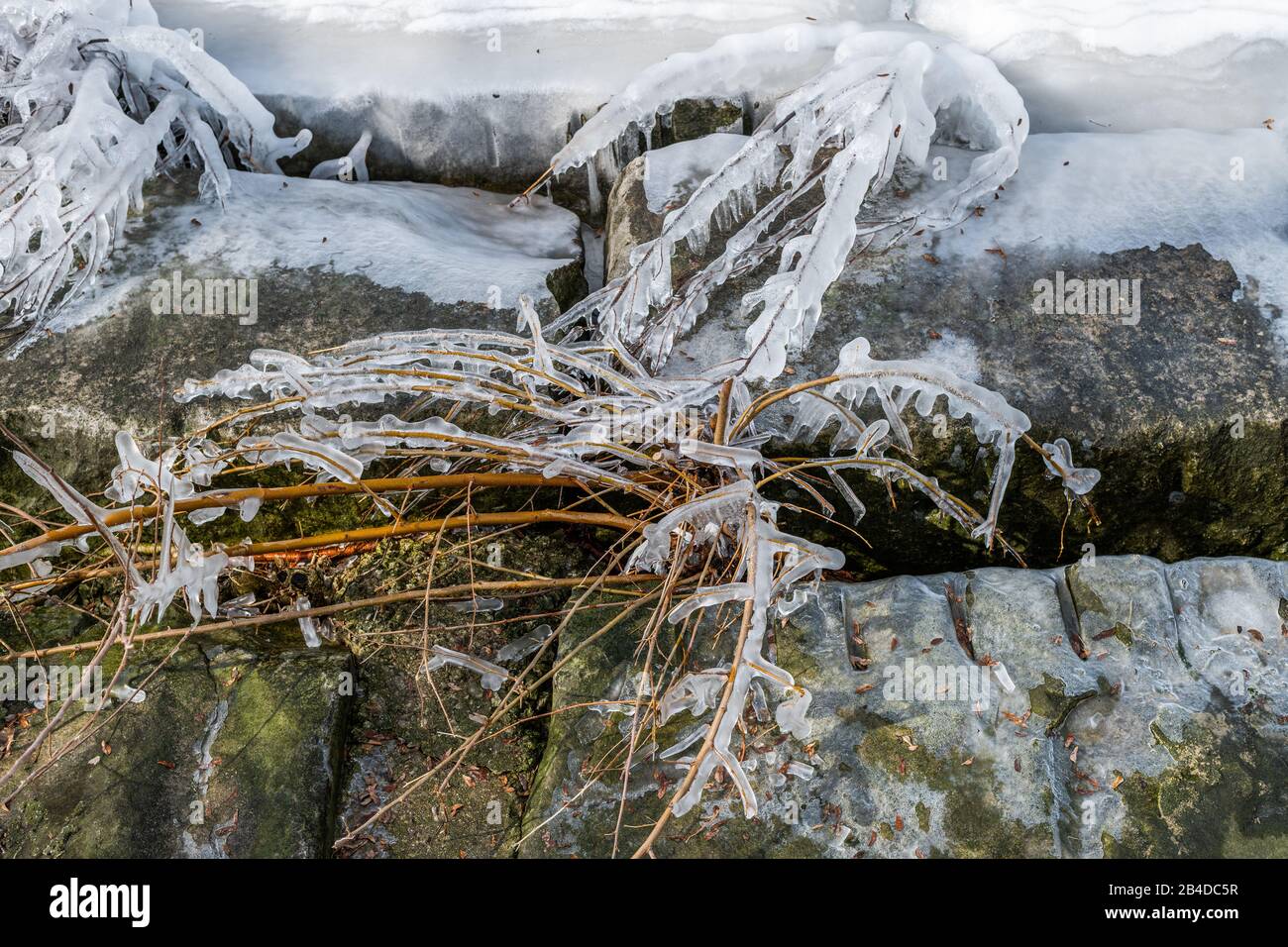 Rami congelati sulla riva del lago Michigan Foto Stock