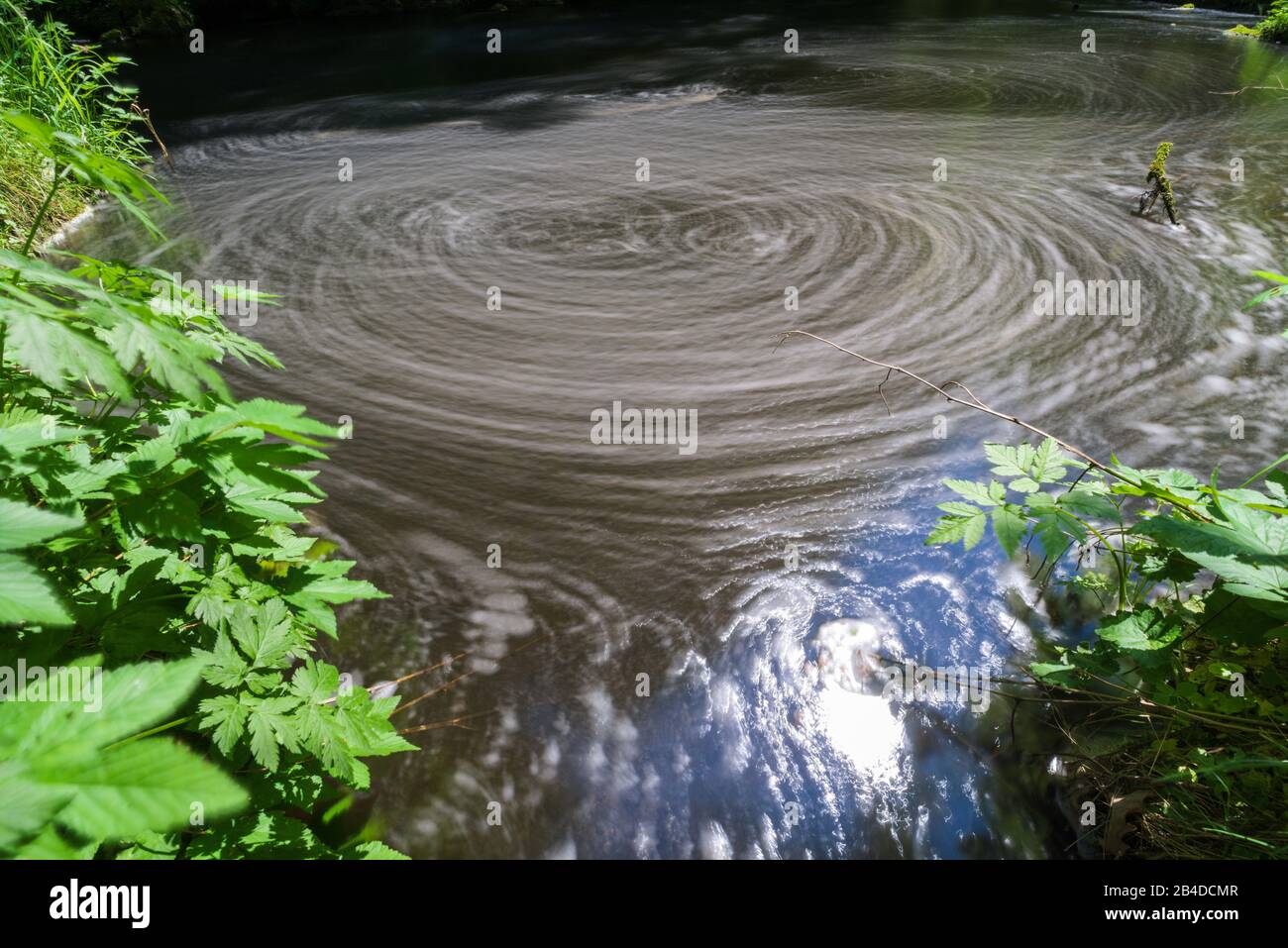 Fiume, piante, lunga esposizione Foto Stock