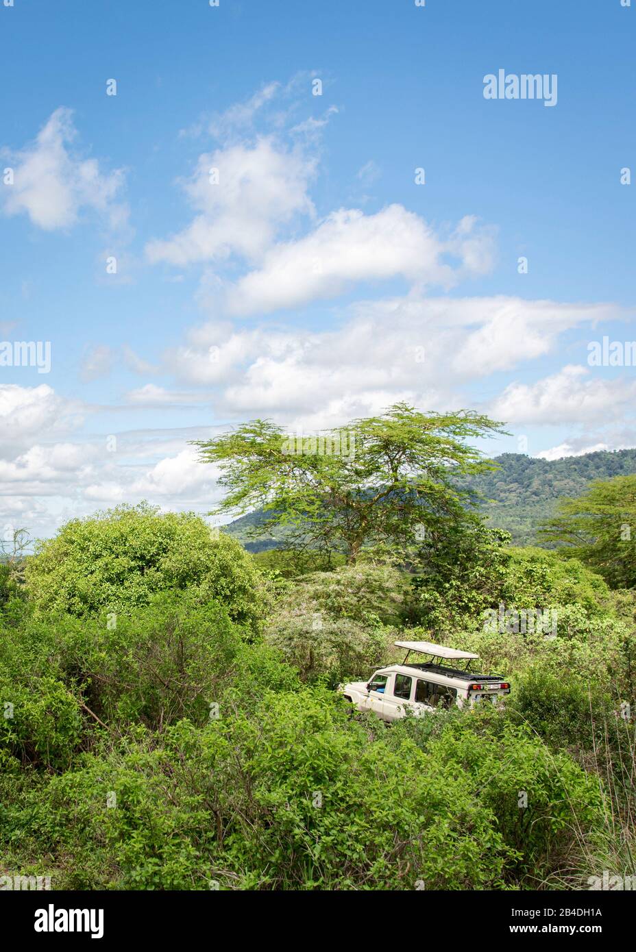 Tanzania, Tanzania settentrionale, Parco Nazionale Serengeti, Cratere Ngorongoro, Tarangire, Arusha e Lago Manyara, jeep su una strada polverosa Foto Stock