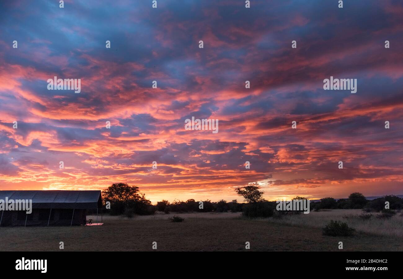 Tanzania, Tanzania Settentrionale, Parco Nazionale Serengeti, Cratere Ngorongoro, Tarangire, Arusha E Lago Manyara, Campo Al Tramonto Foto Stock