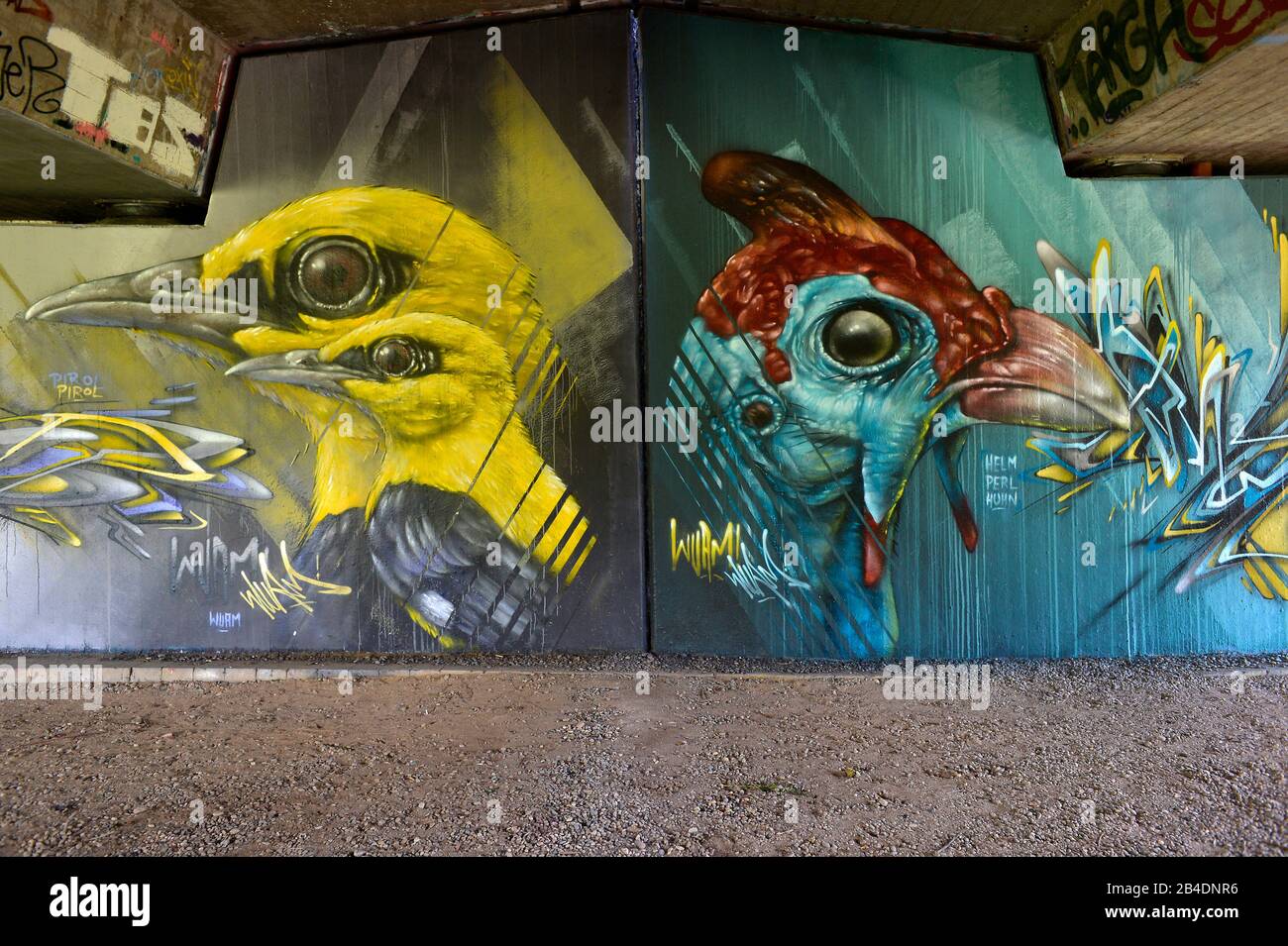 Ritratti di uccelli, graffiti sotto un ponte automobilistico, Karlsruhe, Baden-Wurttemberg, Germania Foto Stock