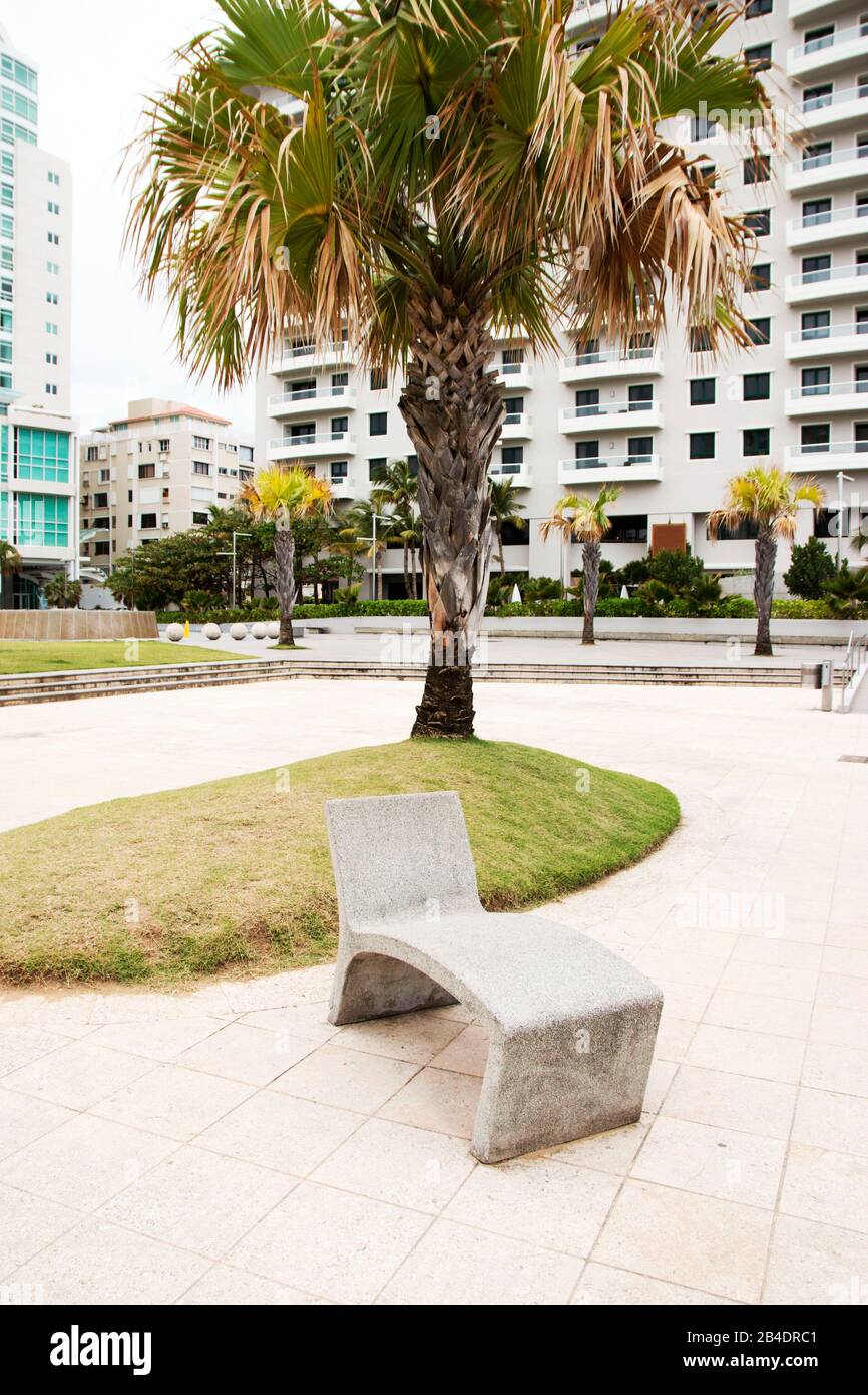 Una sedia da salotto in cemento sotto una palma in un parco vicino all'oceano a Porto Rico Foto Stock