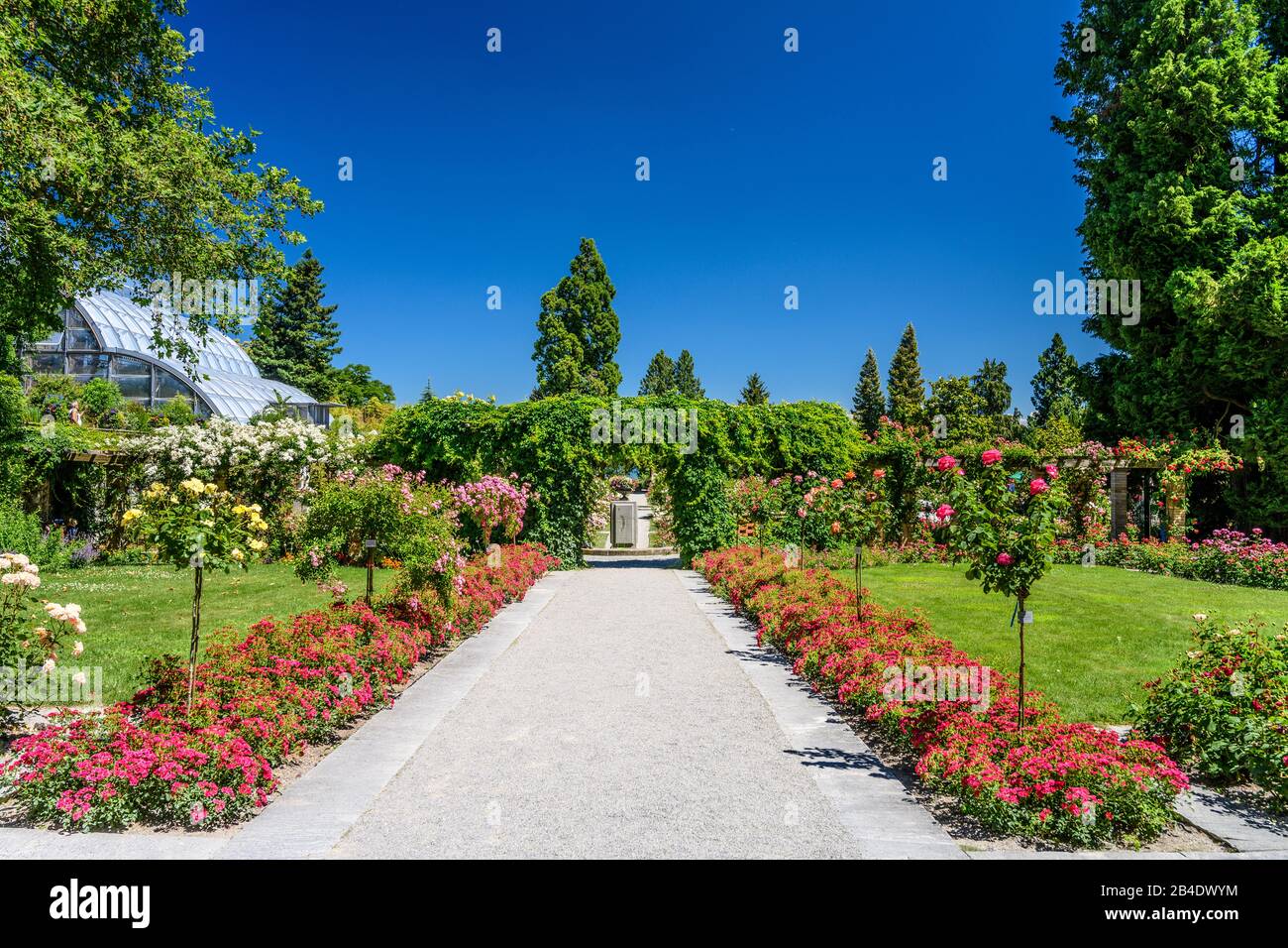 Deutschland, Baden-Württemberg, Bodensee, Konstanz, Insel Mainau, Italienischer Rosengarten Foto Stock