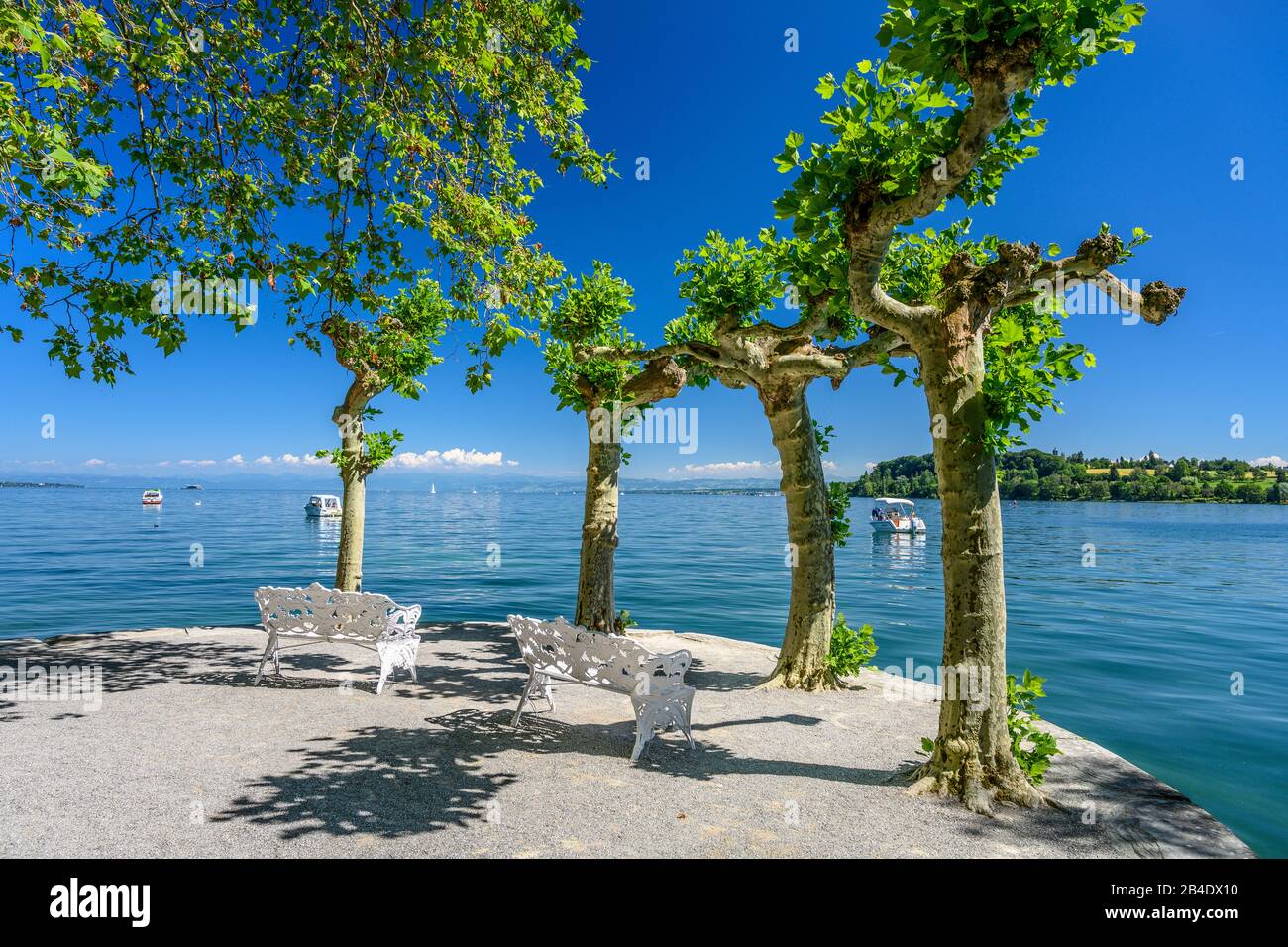 Deutschland, Baden-Württemberg, Bodensee, Konstanz, Insel Mainau, Uferpromenade Foto Stock