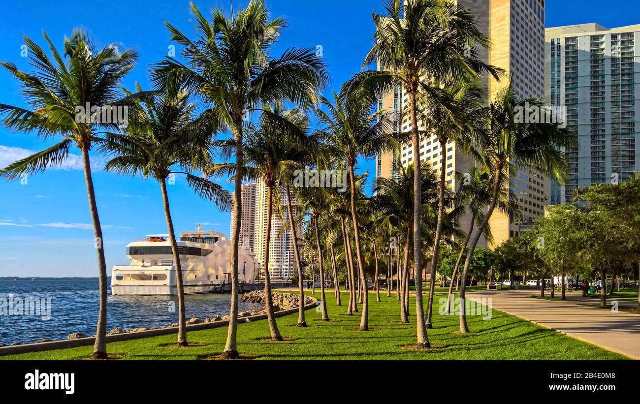 Bayfront Park, Downtown, Miami, Florida, Stati Uniti D'America Foto Stock