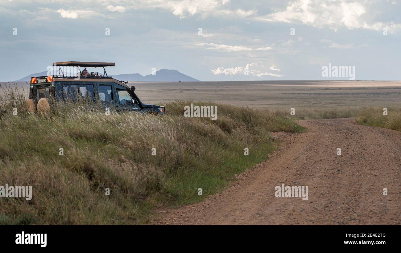 Un safari in piedi, tenda e jeep attraverso la Tanzania settentrionale alla fine della stagione delle piogge nel mese di maggio. Parchi Nazionali Serengeti, Ngorongoro Crater, Tarangire, Arusha E Lago Manyara. I fotografi in jeep osservano gli animali nel Serengeti Foto Stock