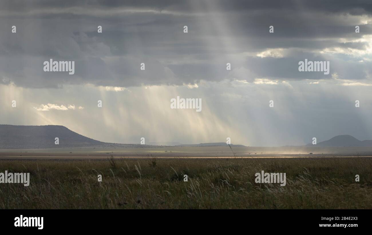 Un safari in piedi, tenda e jeep attraverso la Tanzania settentrionale alla fine della stagione delle piogge nel mese di maggio. Parchi Nazionali Serengeti, Ngorongoro Crater, Tarangire, Arusha E Lago Manyara. L'atmosfera luminosa del Serengeti Foto Stock