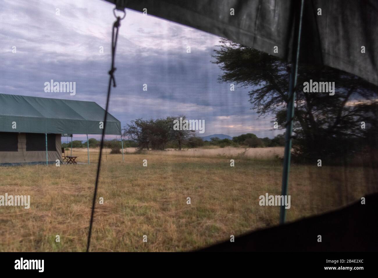 Un safari in piedi, tenda e jeep attraverso la Tanzania settentrionale alla fine della stagione delle piogge nel mese di maggio. Parchi Nazionali Serengeti, Ngorongoro Crater, Tarangire, Arusha E Lago Manyara. Svegliati nella tenda: Dawn sopra il Serengeti Foto Stock