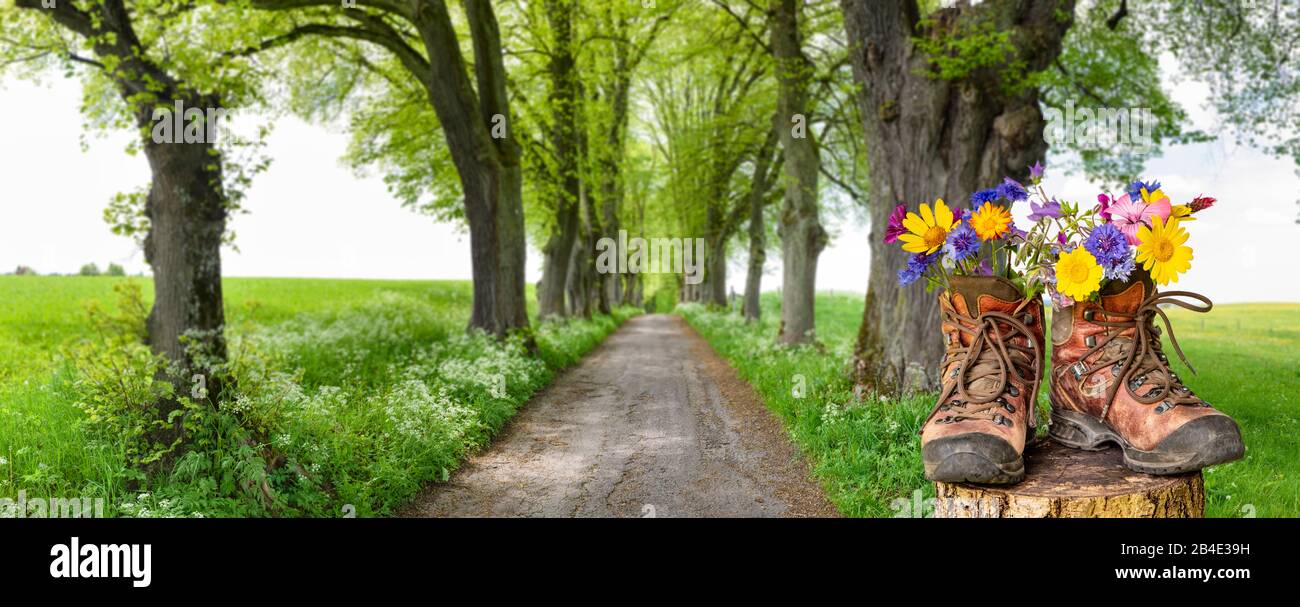 Wanderschuhe mit Blumen in schöner bayerischer Landschaft [M] Foto Stock