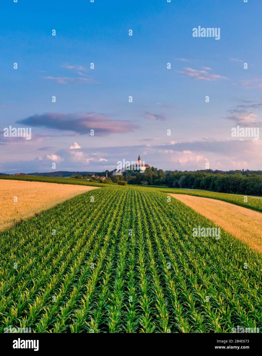 Paesaggio con campi di grano e cereali al Monastero di Andechs, Fünf-Seen-Land, alta Baviera, Baviera, Germania, Europa Foto Stock