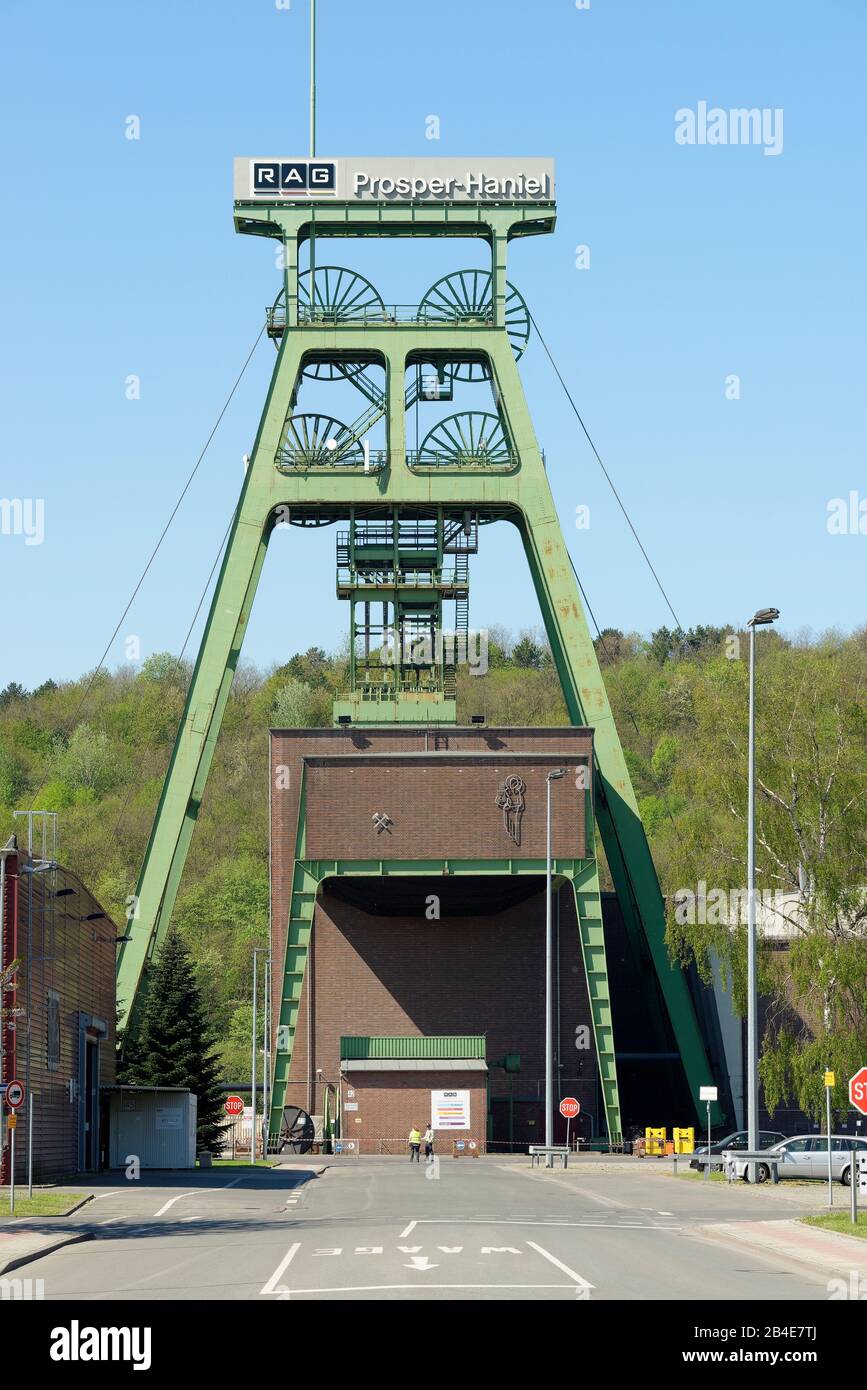 Vista della torre di avvolgimento della miniera di carbone Prosper- Haniel, Bottrop, Renania Settentrionale-Vestfalia, Germania Foto Stock