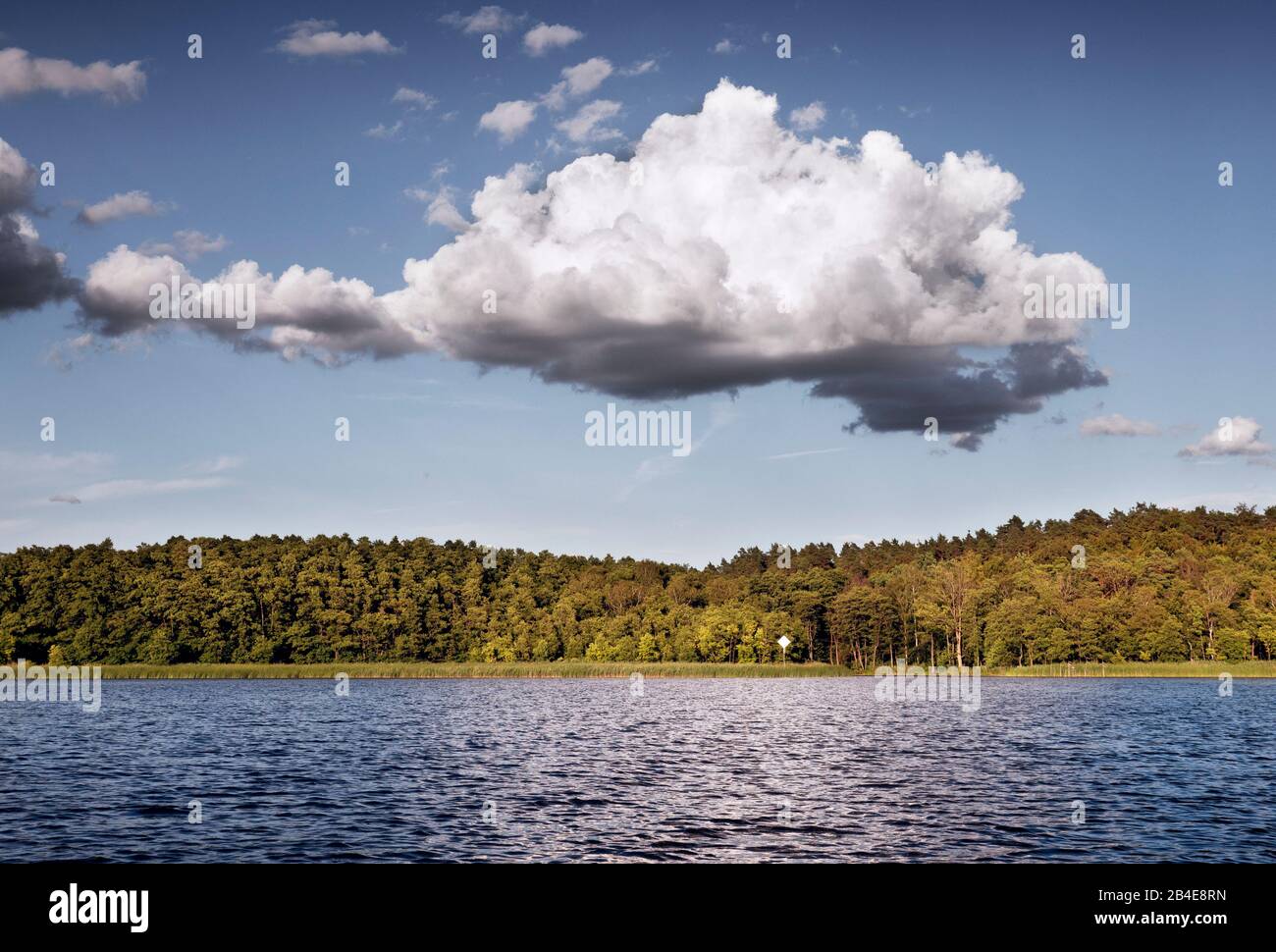 Una nuvola è illuminata dal sole basso e riflessa nel lago. Idillio estivo sull'acqua Foto Stock