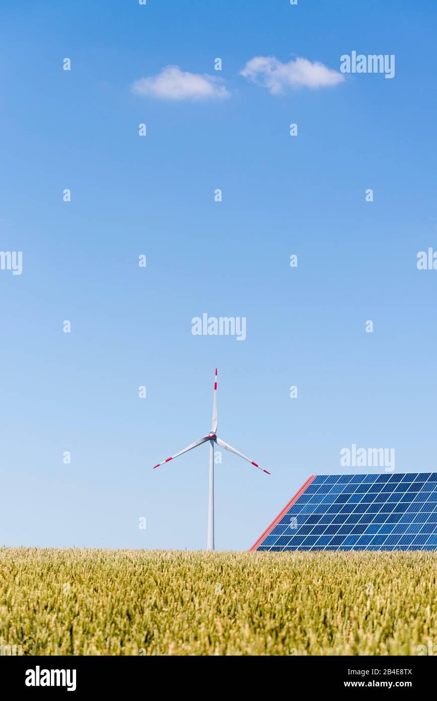 Solaranlagen und Windrad im Kornfeld unter blauem Himmel Foto Stock