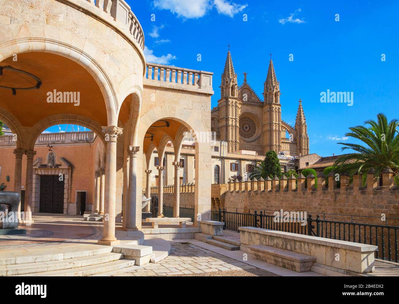 Vista Della Cattedrale Di La Seu Da Palau March, Palma De Mallorca, Mallorca, Isole Baleari, Spagna, Europa Foto Stock