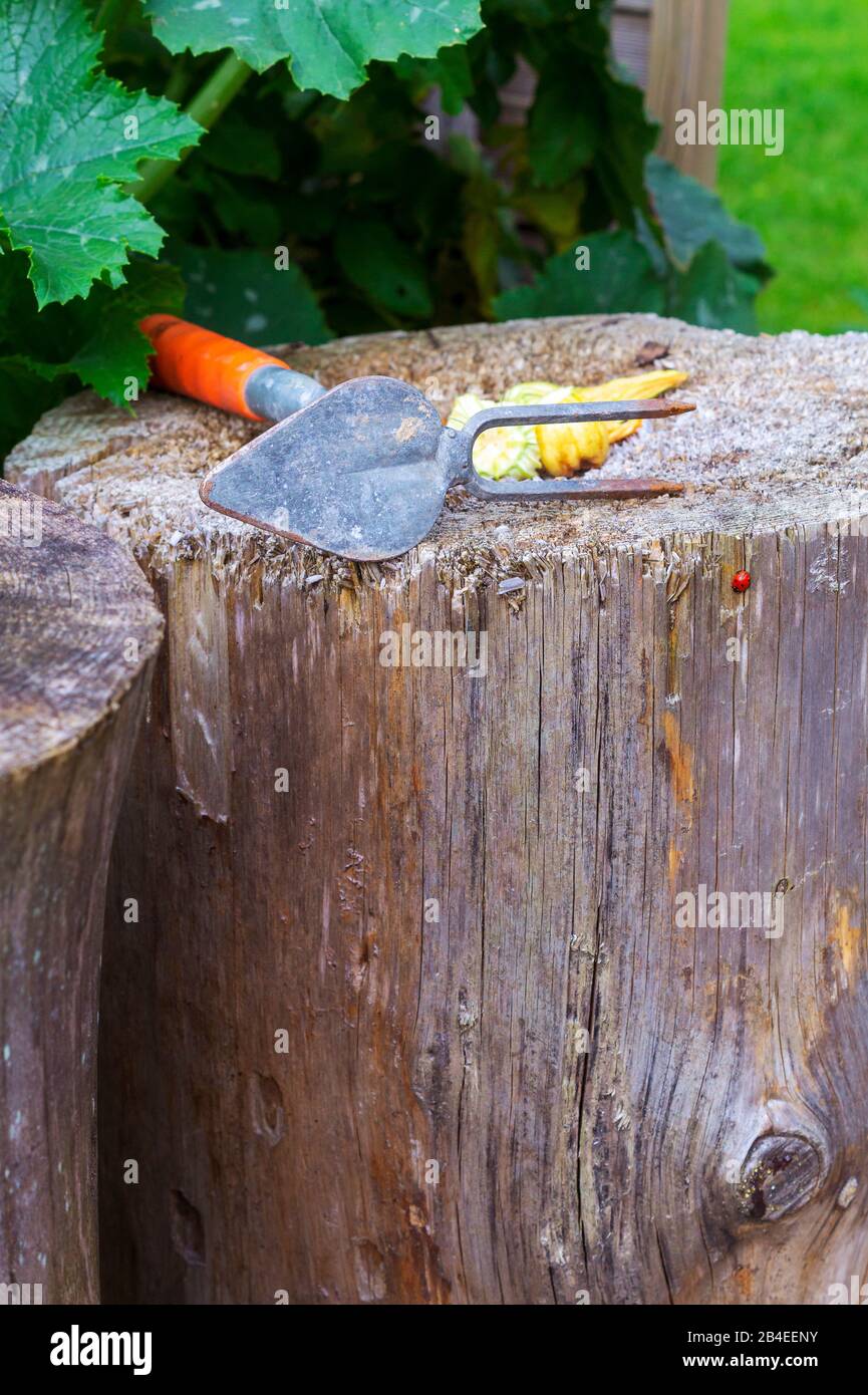 Attrezzo da giardino su log, auto-coltivazione Foto Stock