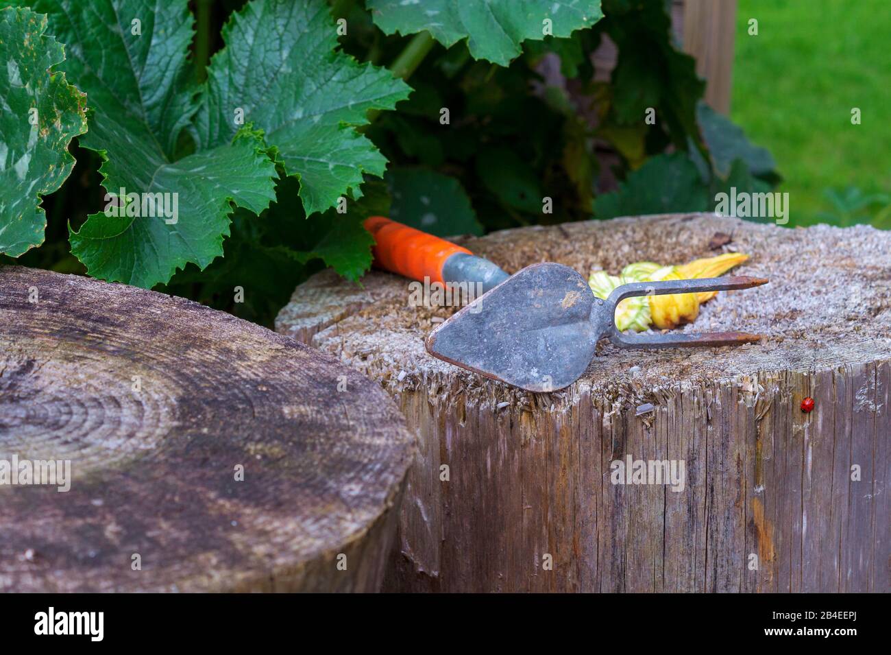 Attrezzo da giardino su log, auto-coltivazione Foto Stock