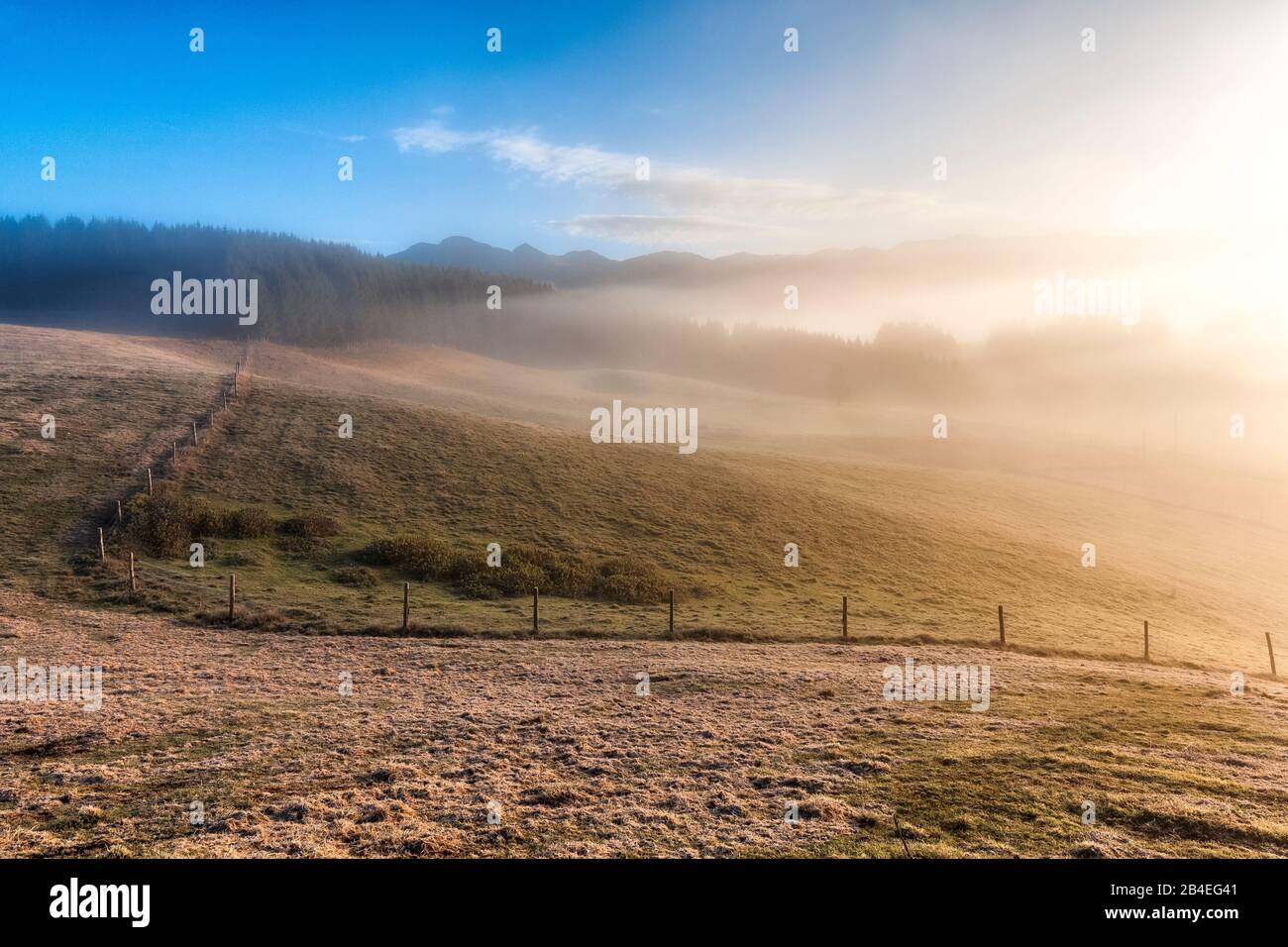 Altopiano del Cansiglio, mattina nebbia sull'altopiano in autunno, Alpago, Belluno, Veneto, Italia Foto Stock