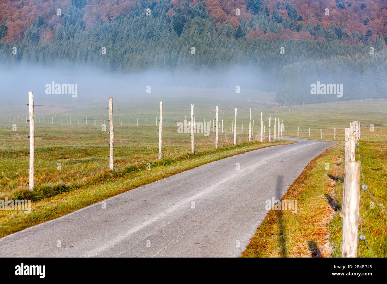 Altopiano del Cansiglio, mattina nebbia sull'altopiano in autunno, Alpago, Belluno, Veneto, Italia Foto Stock