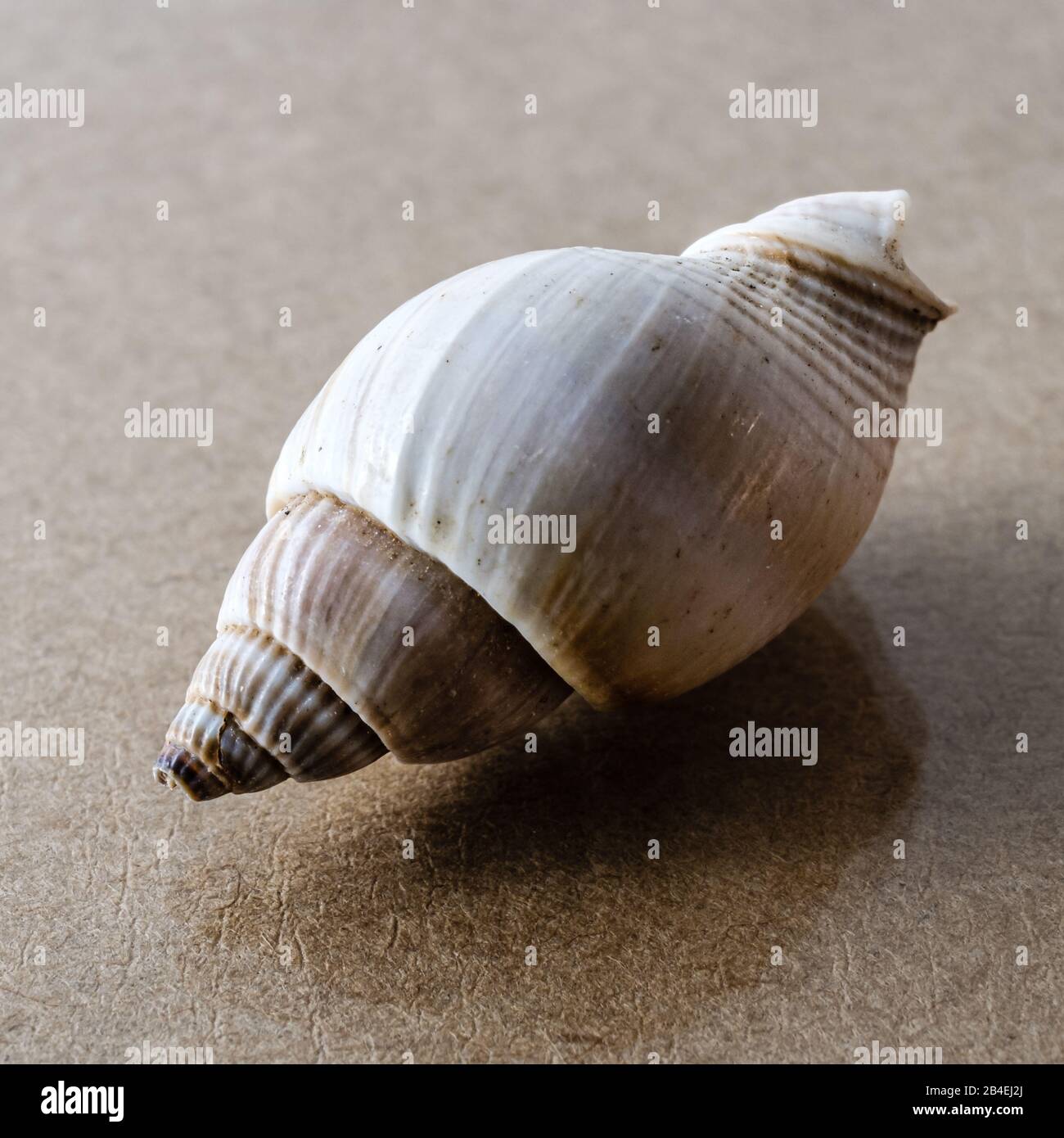 Un primo piano sulla superficie di un vetro Foto Stock