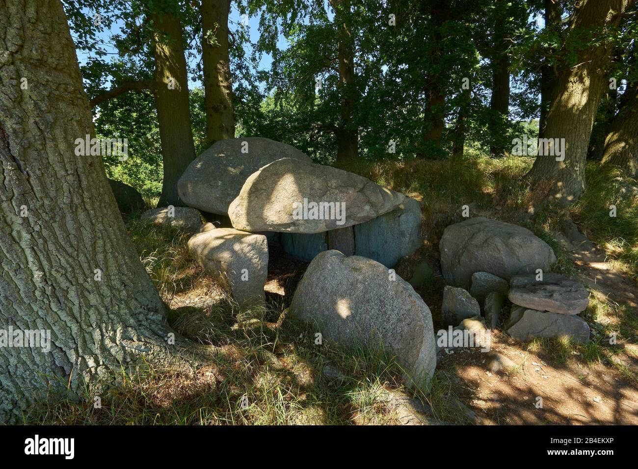 Tombe megalitiche della cultura del bicchiere a imbuto neolitico a Lancken-Granitz a Rügen, distretto di Vorpommern-Rügen, Mecklenburg-Vorpommern, Germania Foto Stock