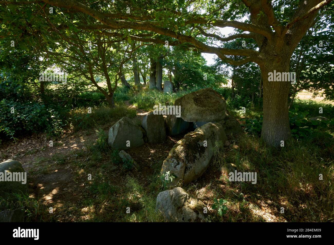 Tombe megalitiche della cultura del bicchiere a imbuto neolitico a Lancken-Granitz a Rügen, distretto di Vorpommern-Rügen, Mecklenburg-Vorpommern, Germania Foto Stock