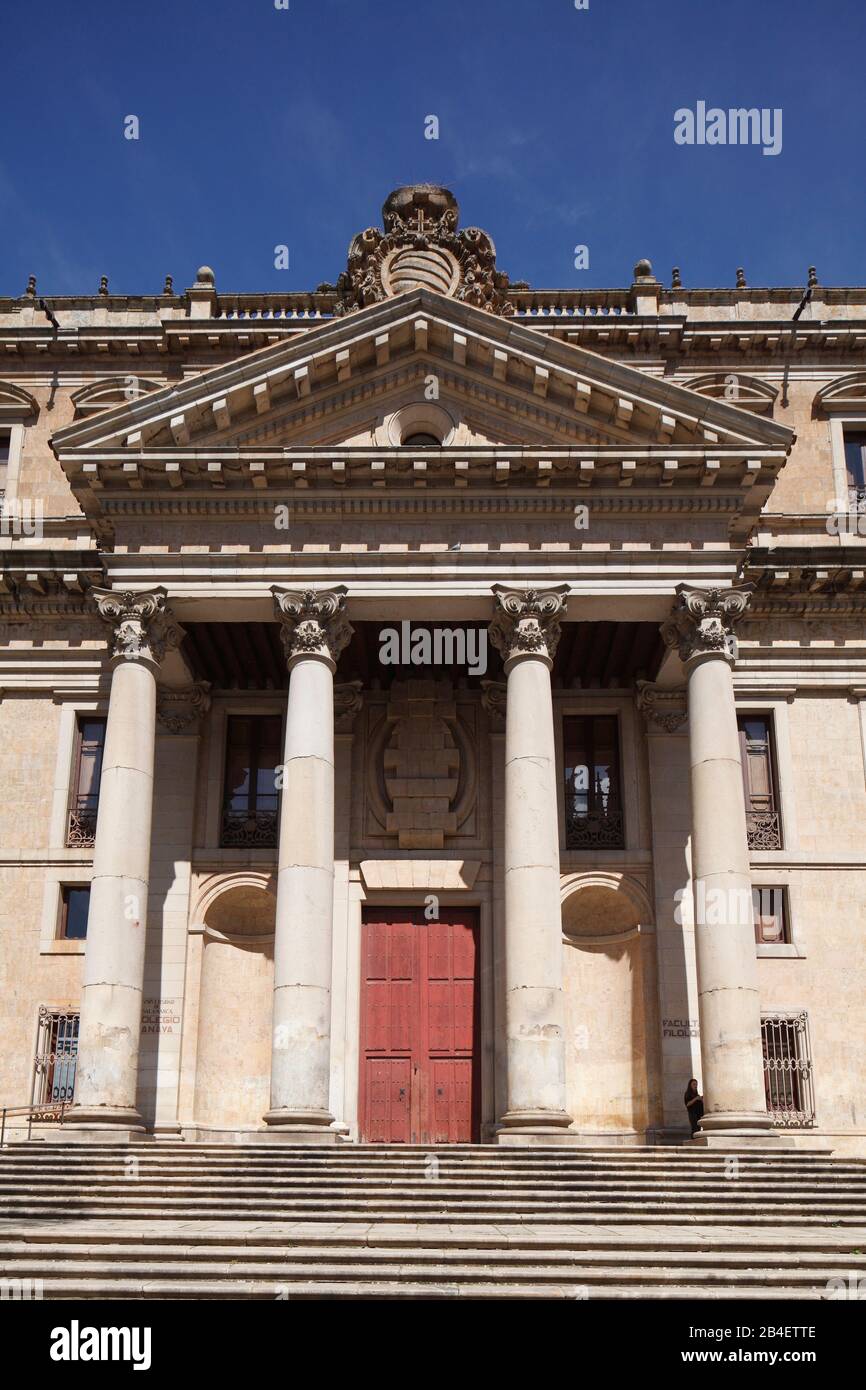 Colegio De Anaya, Plaza De Anaya, Salamanca, Castilla Y Leon, Castiglia-Leon, Spagna, Europa Foto Stock